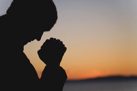 天貓生鮮走出“甄選全球”計劃第一步，這次瞄準了加拿大龍蝦