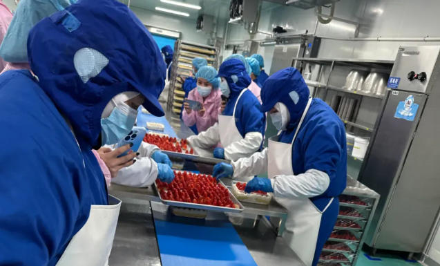 山姆麻薯驚現(xiàn)活老鼠、盒馬草莓蛋糕錯把鹽當(dāng)糖，新零售烘焙的濾鏡碎了？